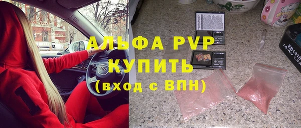 крисы Великий Новгород